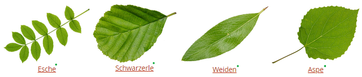 trees